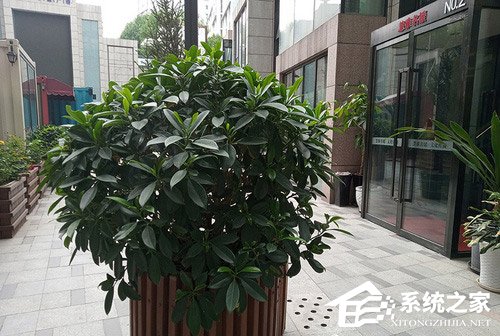 红米6怎么样?红米6手机评测