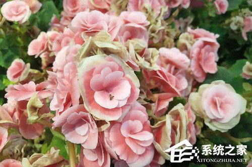 红米6怎么样?红米6手机评测