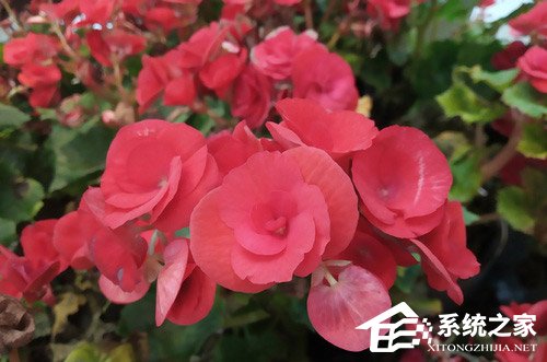 红米6怎么样?红米6手机评测