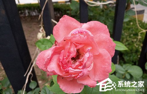红米6怎么样?红米6手机评测