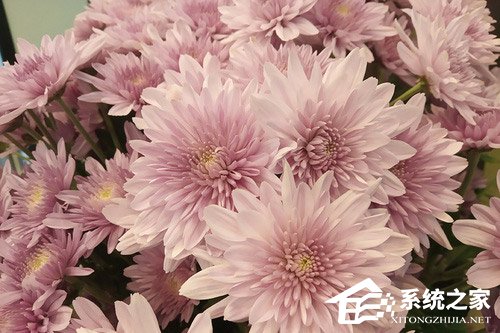 红米6怎么样?红米6手机评测