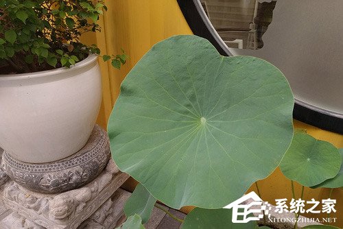 红米6 Pro怎么样？红米6 Pro手机体验评测
