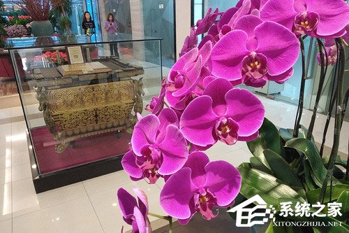 红米6 Pro怎么样？红米6 Pro手机体验评测