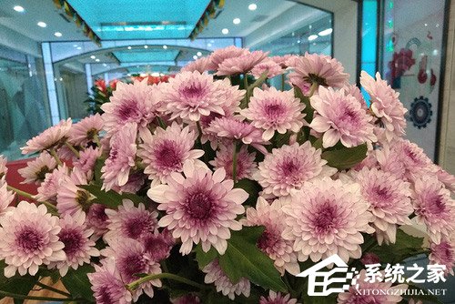 红米6 Pro怎么样？红米6 Pro手机体验评测