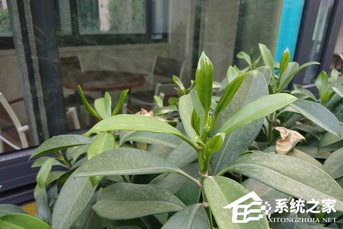 红米6 Pro怎么样？红米6 Pro手机体验评测