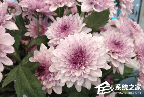 红米6 Pro怎么样？红米6 Pro手机体验评测