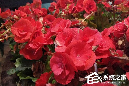 红米6 Pro怎么样？红米6 Pro手机体验评测