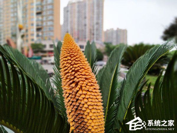 海信H20怎么样?海信H20手机体验评测