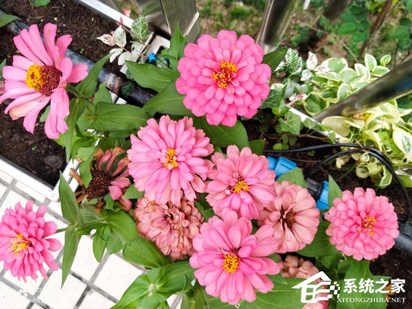 海信H20怎么样?海信H20手机体验评测