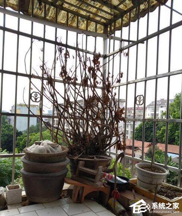 红米6 Pro值不值得买？红米6 Pro手机深度评测