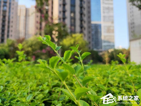 OPPO R17好不好？OPPO R17手机体验评测