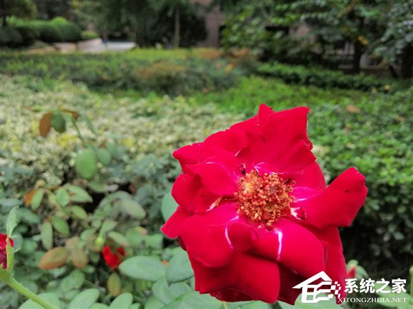 华为麦芒7怎么样？华为麦芒7综合评测