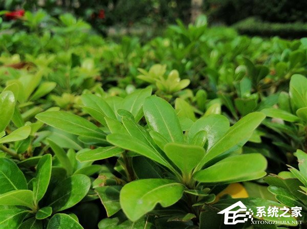 华为麦芒7怎么样？华为麦芒7综合评测