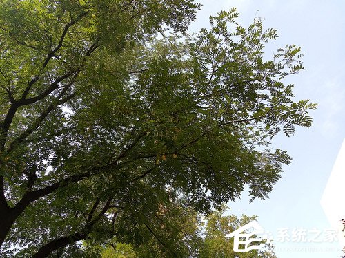 国美U9好用吗？国美U9手机上手评测