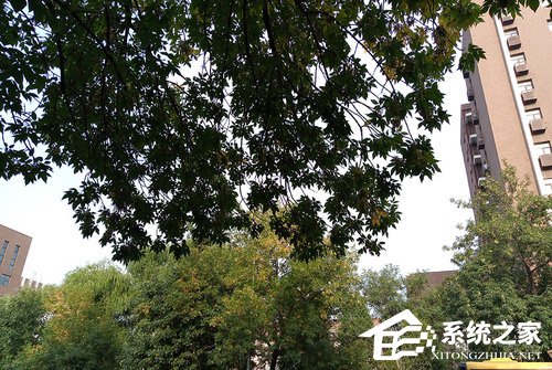 国美U9好用吗？国美U9手机上手评测