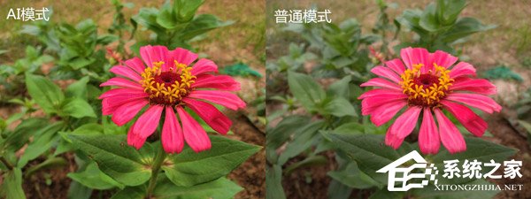荣耀畅玩8C值不值得买？荣耀畅玩8C上手评测