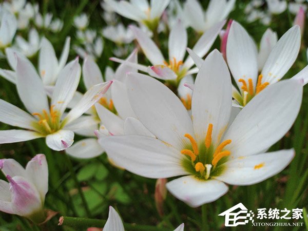 荣耀畅玩8C值不值得买？荣耀畅玩8C上手评测