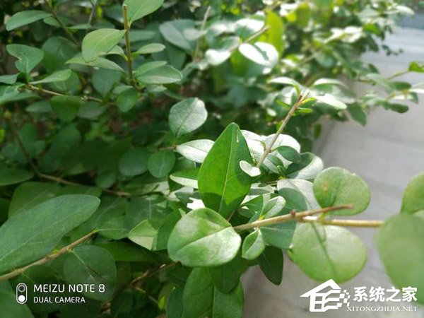 魅族Note 8怎么样？魅族Note 8体验评测
