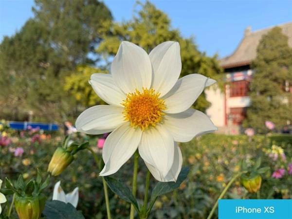 买华为Mate20 Pro还是iPhone Xs？苹果Xs和华为Mate20 Pro对比评测