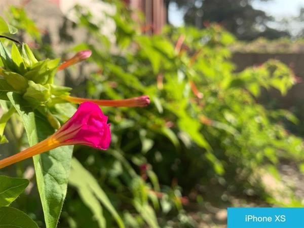 买华为Mate20 Pro还是iPhone Xs？苹果Xs和华为Mate20 Pro对比评测
