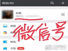 微信号怎么搜索不到对方？