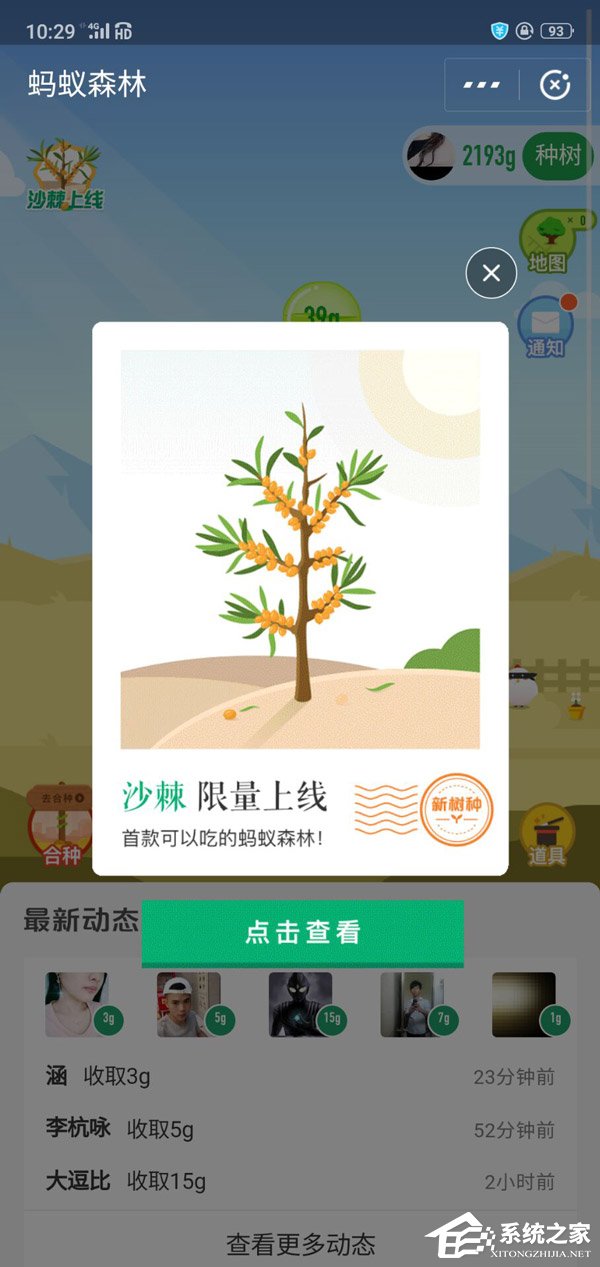 蚂蚁森林上线首款可以吃的树种“沙棘”