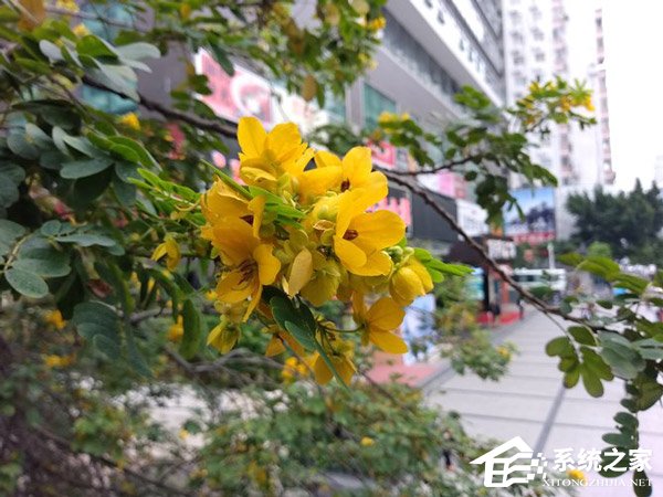 海信金刚4好不好?海信金刚4手机全面评测