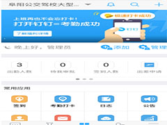 如何启用钉钉拍照打卡功能？