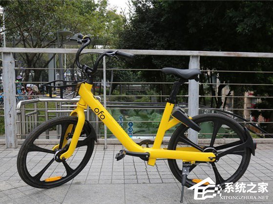 未按时支付运输费！顺丰代理律师回应申请冻结ofo小黄车资金