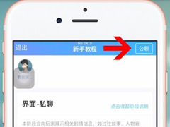 我是谜app怎么进行私聊？我是谜app进行私聊的方法