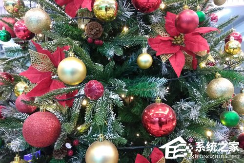 海信小海豚3怎么样？海信小海豚3上手评测