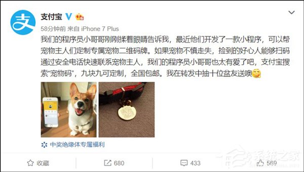 9块9包邮!支付宝推出宠物定制二维码