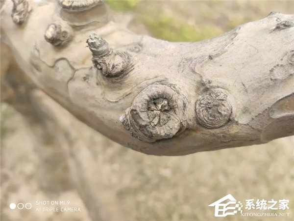 小米9好用吗？小米9手机深度全面评测