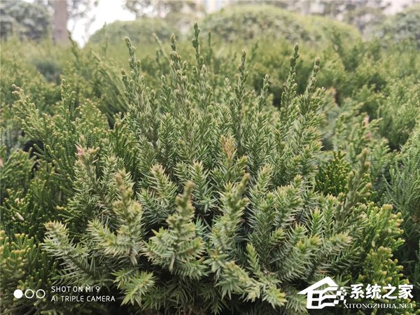 小米9好用吗？小米9手机深度全面评测