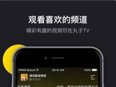丸子视频如何使用？丸子视频使用方法