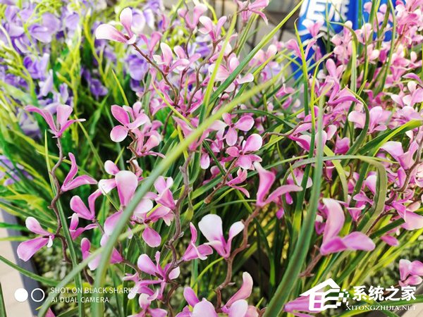 黑鲨游戏手机2怎么样？黑鲨游戏手机2体验评测