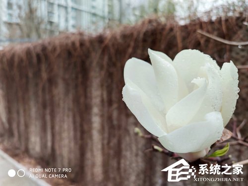 红米Note 7 Pro好不好?Redmi Note 7 Pro手机体验评测