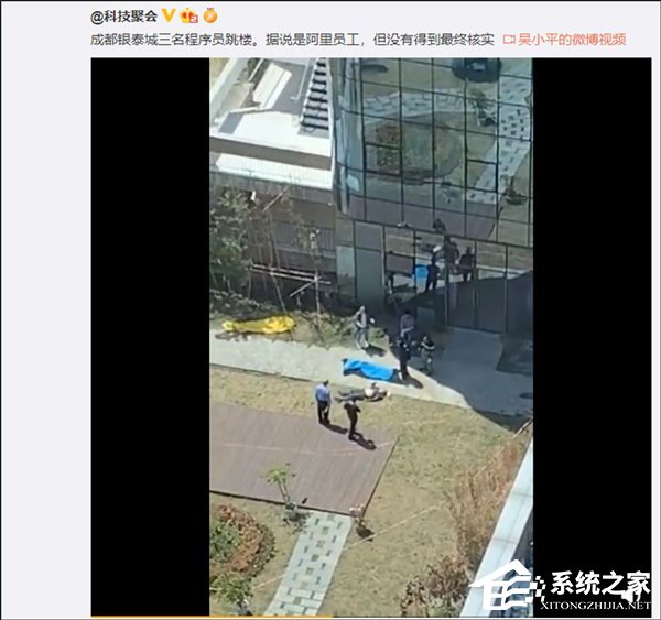 请不要消费逝者！阿里否认程序员跳楼传闻