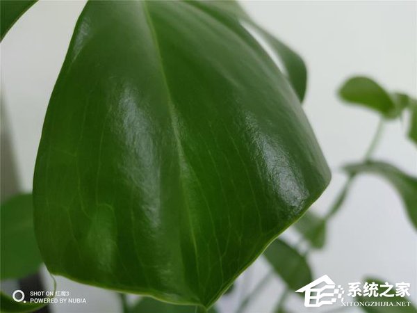 红魔3好不好？红魔3手机评测