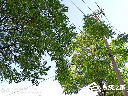 海信金刚5 Pro好用吗？海信金刚5 Pro手机评测