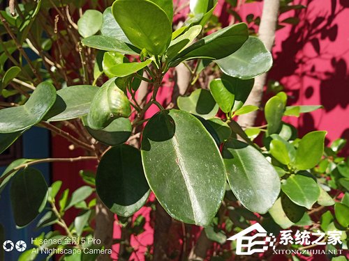 海信金刚5 Pro好用吗？海信金刚5 Pro手机评测