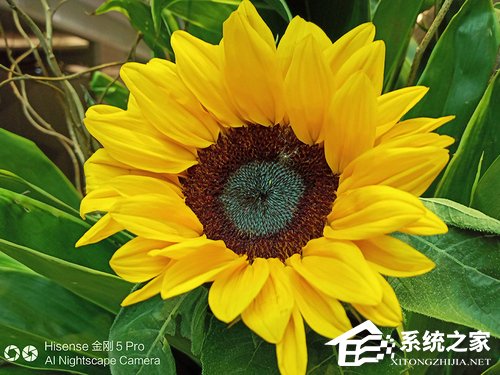 海信金刚5 Pro好用吗？海信金刚5 Pro手机评测