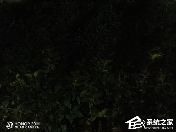 荣耀20 Pro拍照好用吗？荣耀20 Pro拍照性能体验评测
