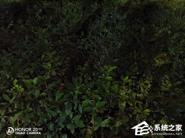 荣耀20 Pro拍照好用吗？荣耀20 Pro拍照性能体验评测