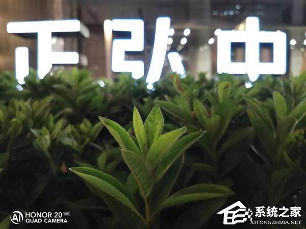 荣耀20 Pro拍照好用吗？荣耀20 Pro拍照性能体验评测
