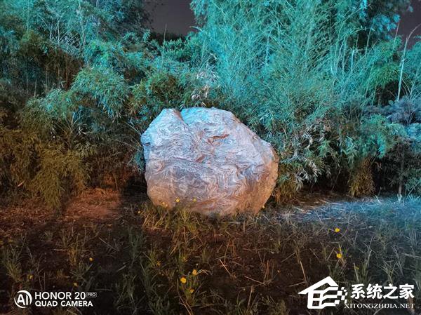 荣耀20 Pro拍照好用吗？荣耀20 Pro拍照性能体验评测