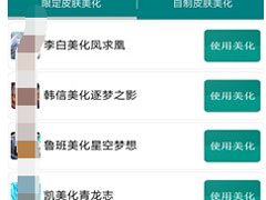 天阳王者美化软件怎么用？天阳王者美化软件的使用方法