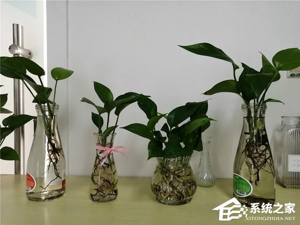 麦芒8好用吗？华为麦芒8手机体验评测