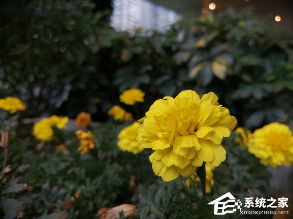 麦芒8好不好？华为麦芒8手机评测