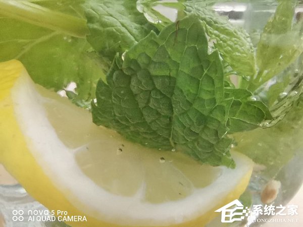 华为nova 5 Pro拍照好用吗？华为nova 5 Pro拍照性能实测